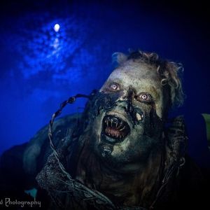 Meet your Posher, Teddy